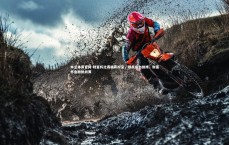 米兰体育官网-财富杯比赛精彩纷呈，球员奋力拼搏，财富杯金融挑战赛