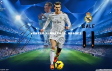 米兰体育官网-沃尔夫斯堡主场大胜，稳固中游位置